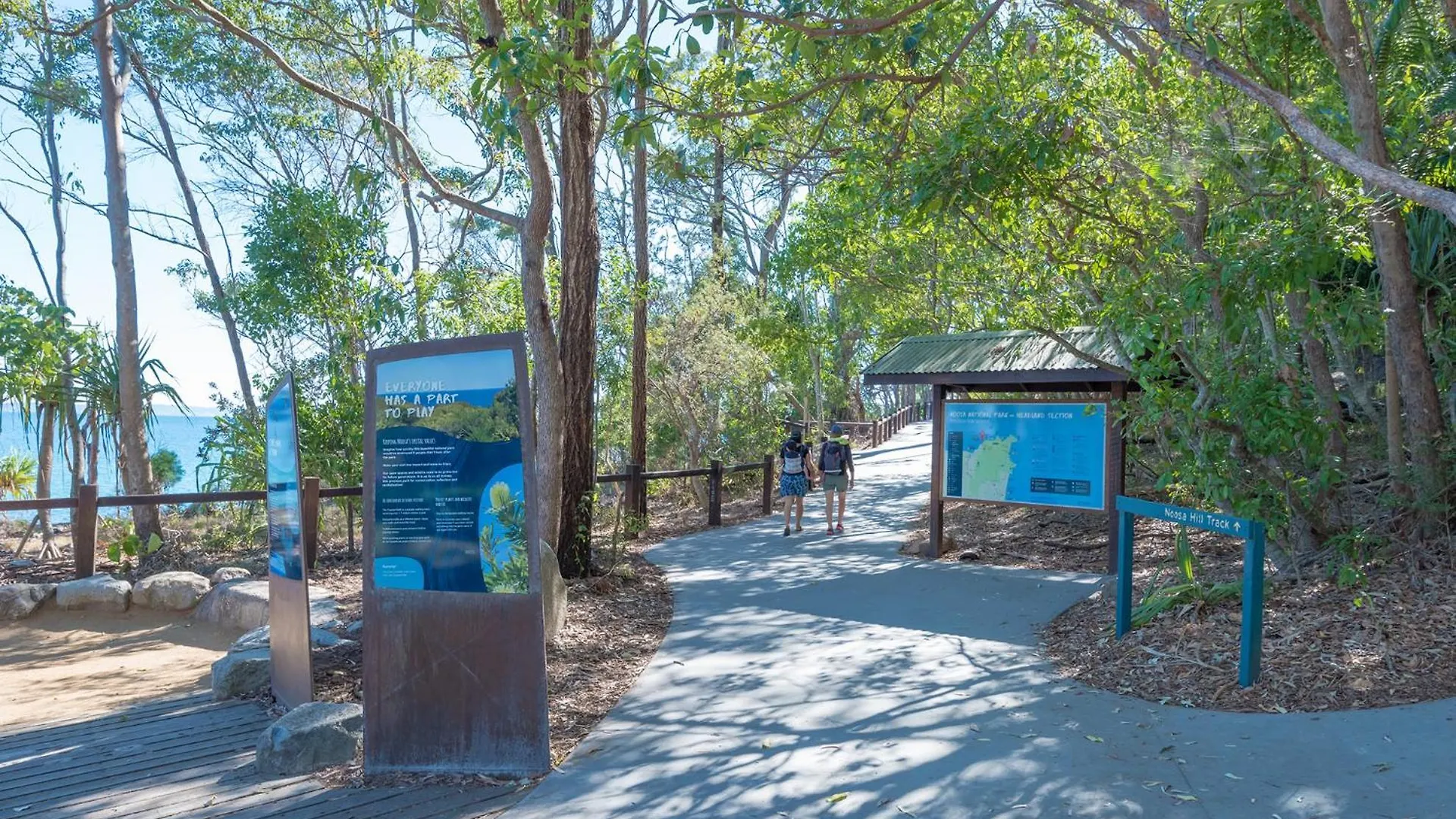 Coastal Serenity At Little Cove Noosa Heads Australie