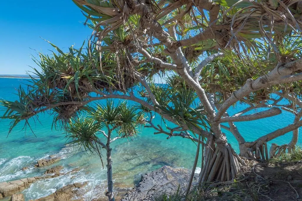 Coastal Serenity At Little Cove Noosa Heads Apartment